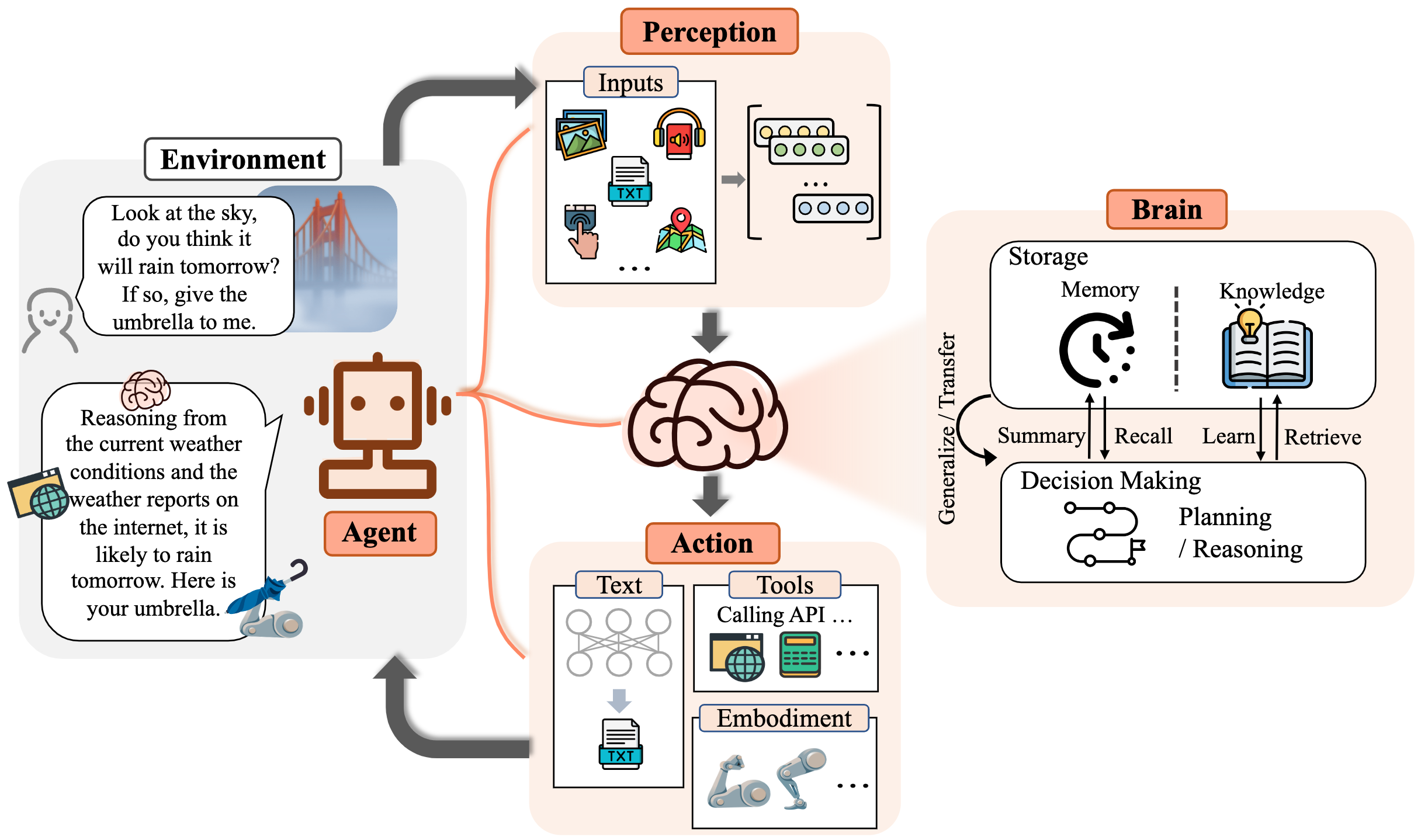 Diagram of an AI agent's architecture, from Xi et al. (2023). The agent takes in inputs from its environment, such as text, images, audio and locations (Perception). Its brain stores memory and knowledge and does planning and reasoning to make decisions (Brain). It then acts through text, tool calls such as APIs, and a robot body (Action). Example: a person asks if it will rain tomorrow and to be given an umbrella; the agent reasons from the current weather and online weather reports that it will likely rain, and hands over the umbrella.